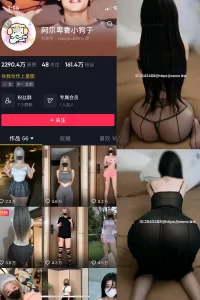 抖音 阿尔卑香小狗子 微密圈 NO.057期 【36P1V】-尤坊沐