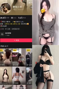 抖音 野生小羊 铁粉空间 NO.006期 【10P3V】-尤坊沐