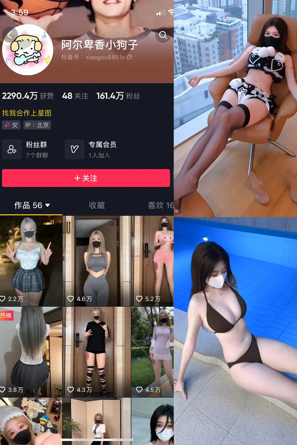 抖音 阿尔卑香小狗子 微密圈 NO.062期 【8V】-尤坊沐