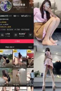 抖音 粉红小香猪 岛遇 NO.002期 【20P2V】-尤坊沐